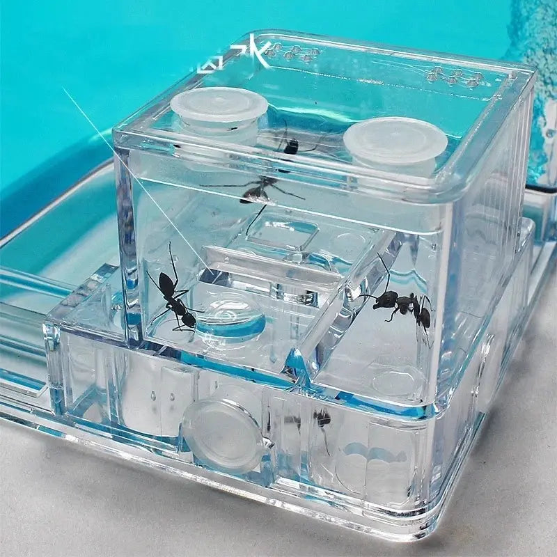 Ant Farm Enclosure - Blue Gel Indoor Habitat for Ants