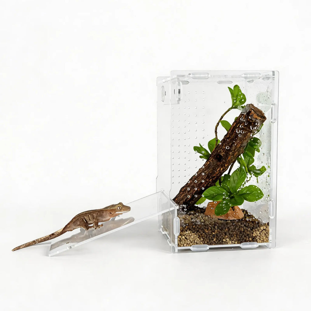 5X5X8 Reptile Tank – Acrylic Reptile Enclosure Terrarium for Cre Sted Gecko, Lizards, Spiders & Snakes – Clear Lizard Habitat Terrarium