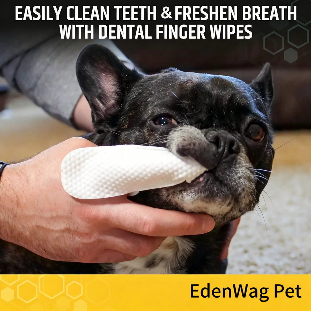 Edenwag Pet Teeth Cleaning Wipes for Dogs & Cats, Vet-Recommended Remove Bad Breath & Plaque & Tartar Buildup, Dog Tooth Brushing Kit, Dog Breath Freshener, Dogs Toothbrush & Toothpaste Alternatives Sohochic