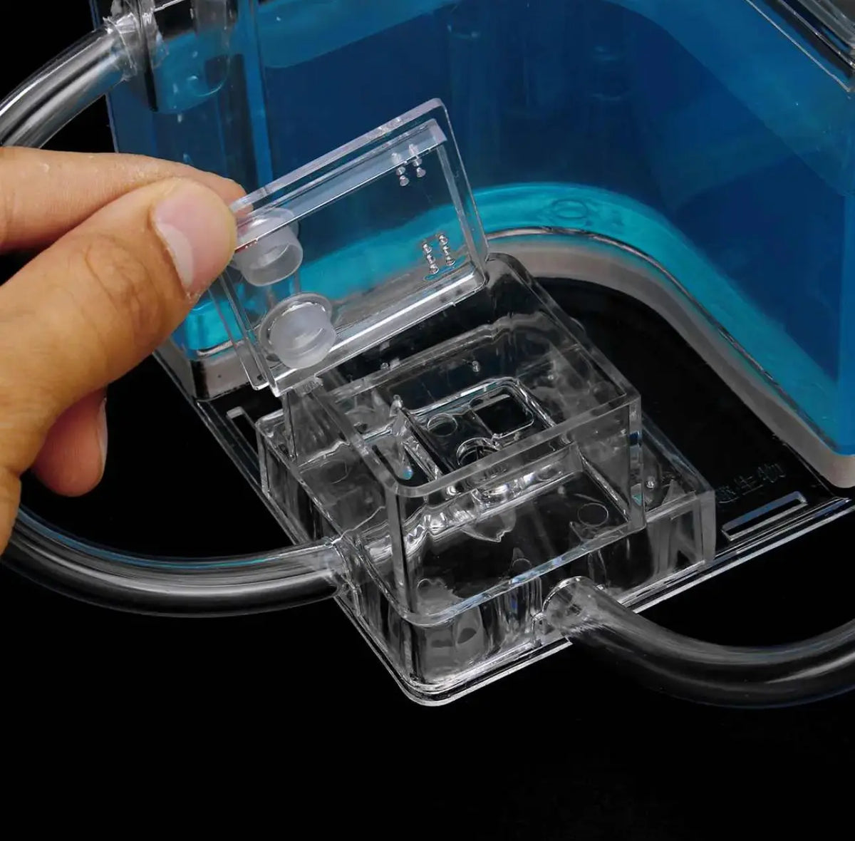 Ant Farm Enclosure - Blue Gel Indoor Habitat for Ants
