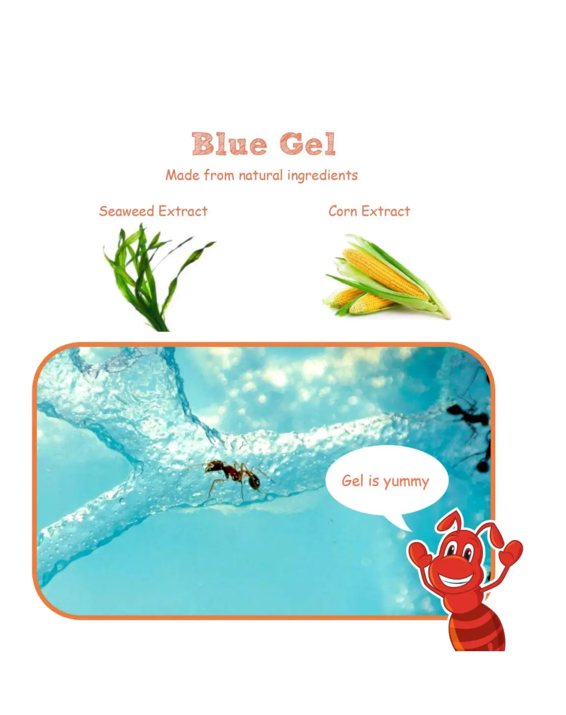 Ant Farm Enclosure - Blue Gel Indoor Habitat for Ants