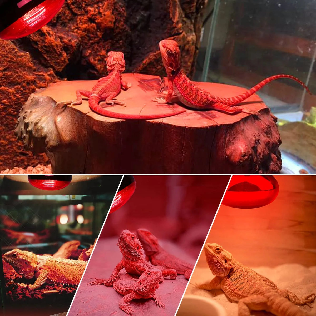 Reptile Heat Lamp 100W, 2Pcs E26 Basking Spot Light, Infrared Heat Lamp, Red