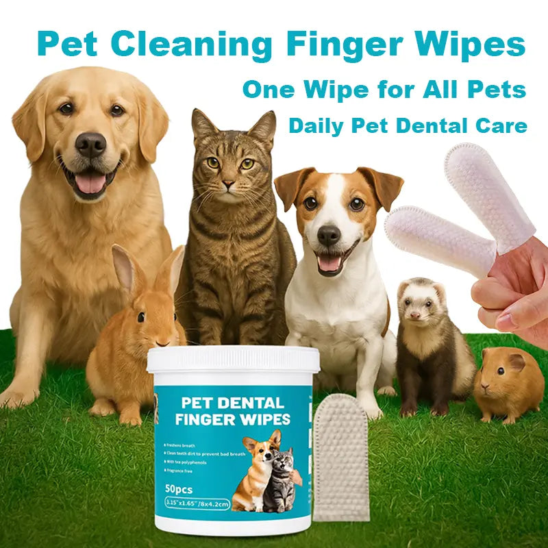 Edenwag Pet Teeth Cleaning Wipes for Dogs & Cats, Vet-Recommended Remove Bad Breath & Plaque & Tartar Buildup, Dog Tooth Brushing Kit, Dog Breath Freshener, Dogs Toothbrush & Toothpaste Alternatives Sohochic