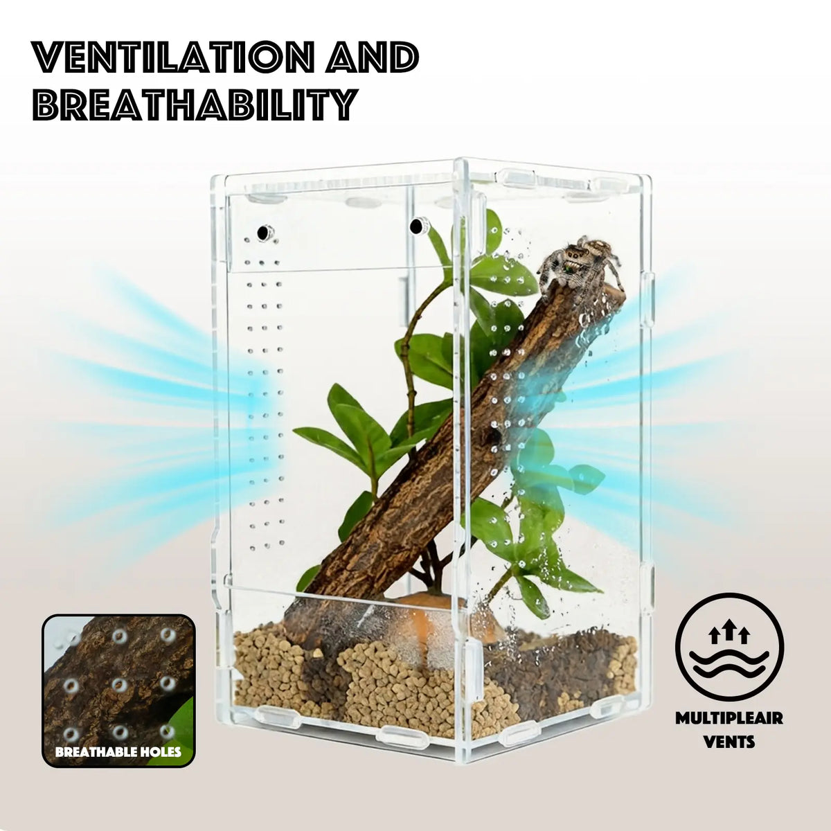 5X5X8 Reptile Tank – Acrylic Reptile Enclosure Terrarium for Cre Sted Gecko, Lizards, Spiders & Snakes – Clear Lizard Habitat Terrarium