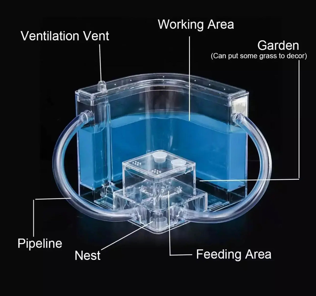 Ant Farm Enclosure - Blue Gel Indoor Habitat for Ants