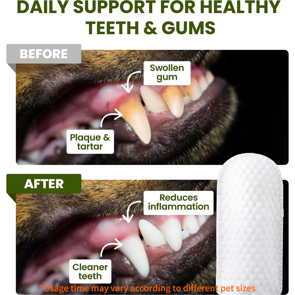 Edenwag Pet Teeth Cleaning Wipes for Dogs & Cats, Vet-Recommended Remove Bad Breath & Plaque & Tartar Buildup, Dog Tooth Brushing Kit, Dog Breath Freshener, Dogs Toothbrush & Toothpaste Alternatives Sohochic