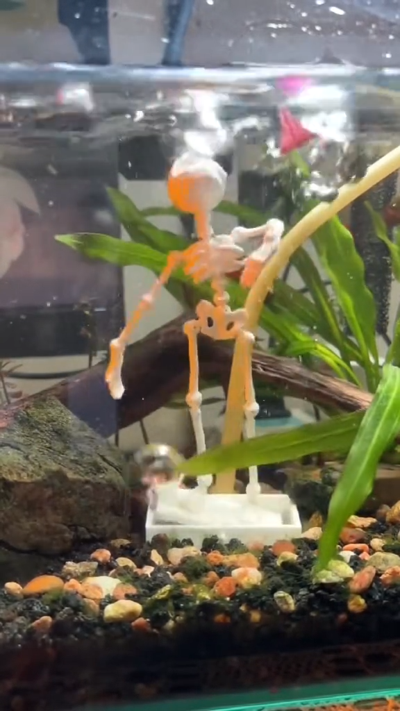 Dancing Skeleton Aquarium Decoration — Suction Cup and Air Hose